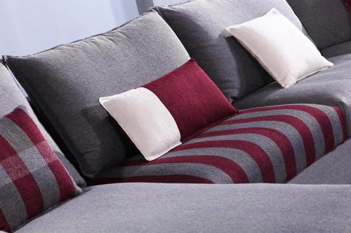 帝言 深化品牌形象,引領軟體家居新風尚