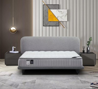 廣東莫奢 帶您走進(jìn)家具新天地，暢享生活心演繹